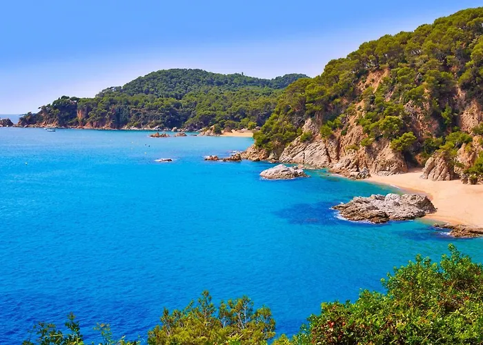 Апартаменты Miramar By Interhome